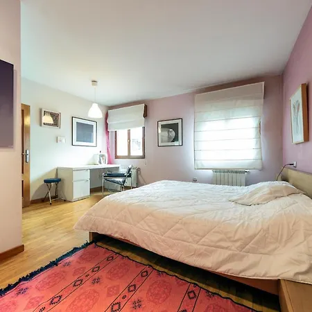 Duplex En El Centro Oviédo